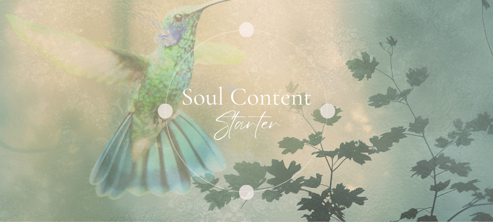 Authentisch Content schreiben lernen mit Soul Content Starter Authentisch Content schreiben lernen mit Soul Content Starter